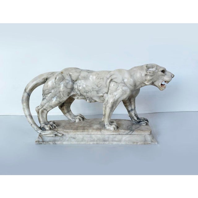 Lioness Sculpture, Early 20th Century, Alabaster For Sale - Image 9 of 9