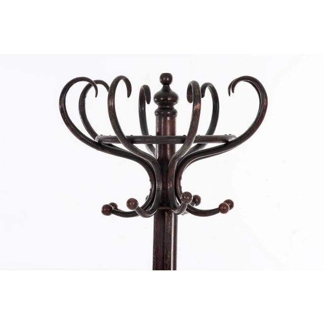 1950s Thonet Coatrack For Sale - Image 5 of 8