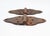 Traditional Pair of Antique Cast Iron Butterfly Door Hinges For Sale - Image 3 of 6