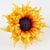 Cilea Paris Yellow and Orange Resin Brooch Giant Sunflower For Sale - Image 4 of 9
