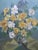 Jean Stratton, Vibrant Daffodils, 1965, Oil Painting on Board, Framed For Sale - Image 11 of 12
