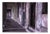 Paul Cooklin, Pastels, Walkway, Malecon, Havana, Edition of 50 For Sale