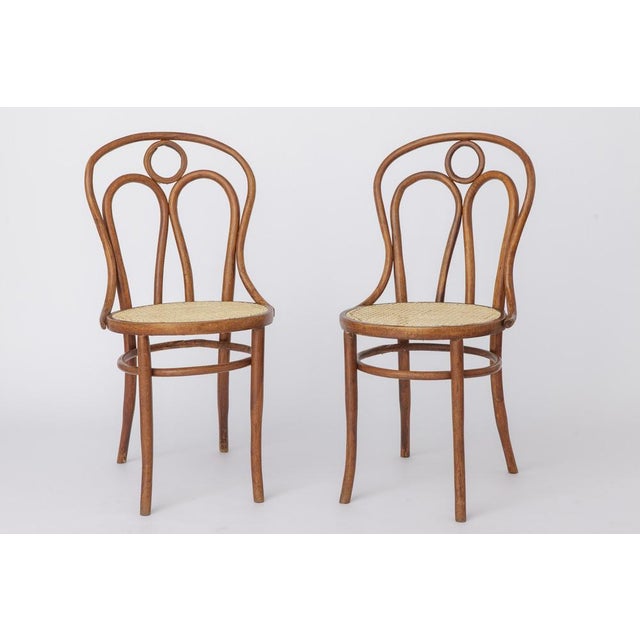 Stained Beech Bentwood Angel Chairs with Vienna Cane Seats, 1940s, Set of 2 For Sale - Image 9 of 9