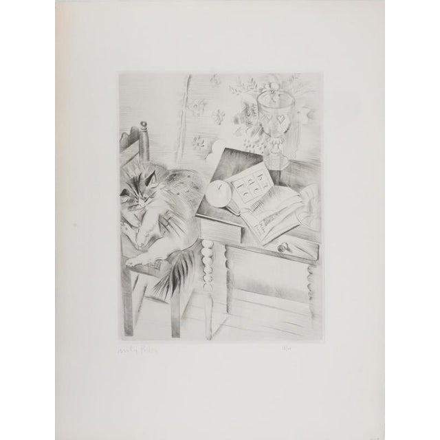 Mily Possoz, Sleeping Cat, Original Signed Engraving For Sale - Image 9 of 9