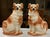 Up for your consideration in this characterful antique pair of Bo’Ness glazed earthenware russet & white Wally Spaniel dog...