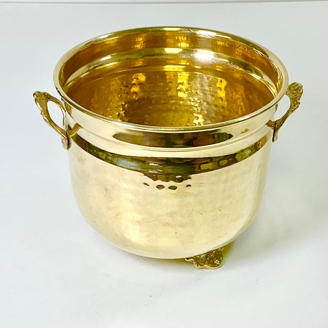 There is nothing more lovely than a vibrant green plant in a brass planter. It adds a touch of sophistication to any room...