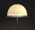 White Baobab Floor Lamp from Guzzini, Italy, 1970s For Sale - Image 4 of 14