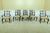 Set of 8 Georgian Mahogany Ribbon Back Dining Room Chairs For Sale - Image 13 of 13