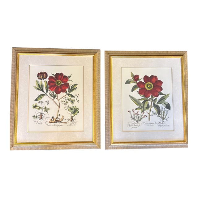 Large Botanical Original Lithographs Vibrant Color in Gold Gilt Frames Set of 2 Red Floral For Sale - Image 13 of 13