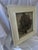 Contemporary Framed Natural Sea Fan For Sale - Image 3 of 6