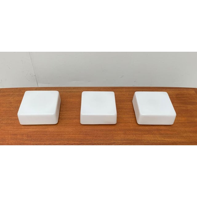 Mid-Century German Minimalist Wall or Ceiling Lamps from Rzb, Set of 3 For Sale - Image 17 of 18
