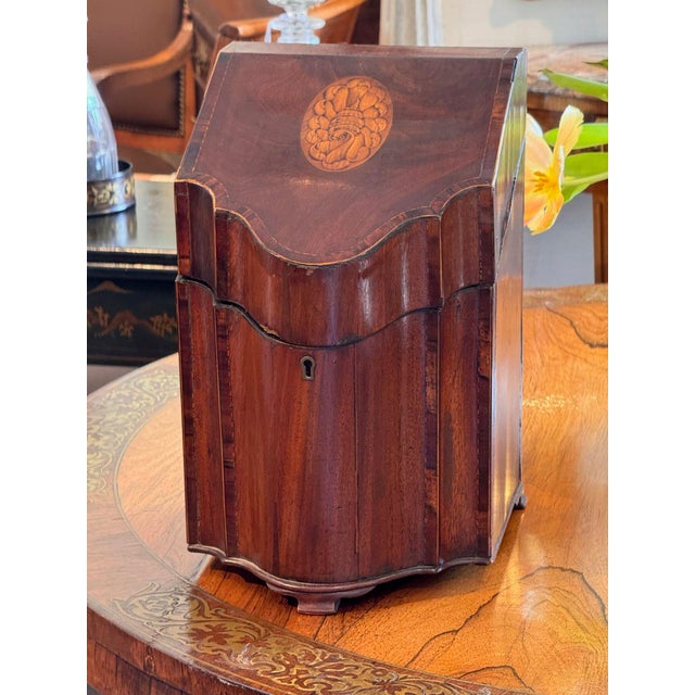 An English letter box of serpentine knife box form, the sloping hinged lid inlaid with an oval conch shell paterae within...