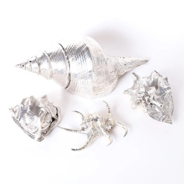 Mid-Century Modern Silvered Metal Plated Seashell For Sale - Image 3 of 4