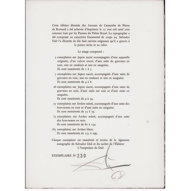 Mid-Century Modern 1960s Salvador Dali Etching From Les Amours De Cassandre Titled "Cheval Picasso" For Sale - Image 3 of 5