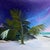 "Tulum" by Javiera Da Fonseca Ilić, Tulum Mexico Tropical Coast, Dreamy Palm Tree Purple Sky, Caribbean Bohemian Landscape, Original Oil Painting For Sale - Image 4 of 9