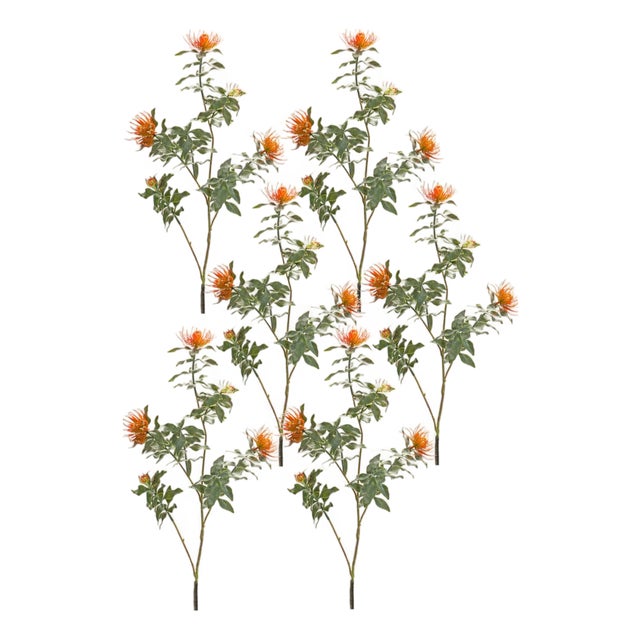 Orange Flocked Protea Spray (Set of 6) For Sale