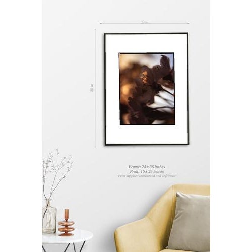 Fine art Giclee prints on Hahnemuhle Photo Rag 308gsm - a 100% cotton, acid-free, mould-made paper. Printed to Fine Art...