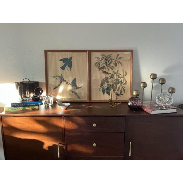 Illustration Framed Vintage Audubon Bluebird Print No. 23 Havell London Sylvia Sialis Ornithology Wall Art For Sale - Image 3 of 4