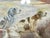 Antique English Watercolor of a Setter and Pointer Dog For Sale - Image 16 of 18