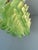 Murano Contemporary Modern Green Frosted "Selle" Murano Glass Rectangular Chandelier in Mazzega For Sale - Image 4 of 8