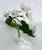 White Emilio Robbia Cala Lily Sculptural Floral Arrangement Centerpiece For Sale - Image 8 of 10