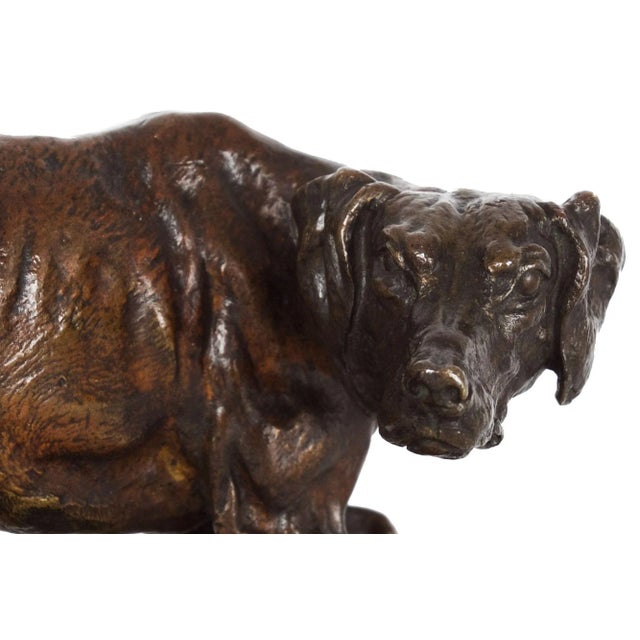 French Antique Bronze Sculpture of Pointer Dog by Pierre-Jules Mêne Circa 1880 For Sale - Image 10 of 12