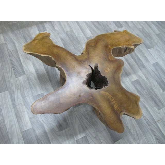 Free Form Brown One Slab Teak Living Edge Coffee Table For Sale - Image 4 of 8