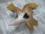 Free Form Brown One Slab Teak Living Edge Coffee Table For Sale - Image 4 of 8