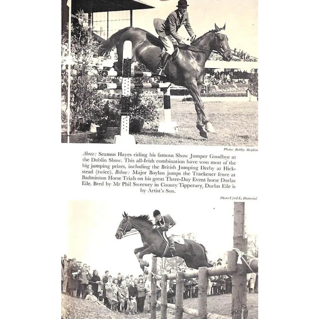 White "The Horse in Ireland" 1967 Browne, Noel Phillips [Edited By] For Sale - Image 8 of 10