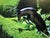 This is for one leaping stag. A dramatic and highly decorative life-size leaping stag sculpture, beautifully capturing the...