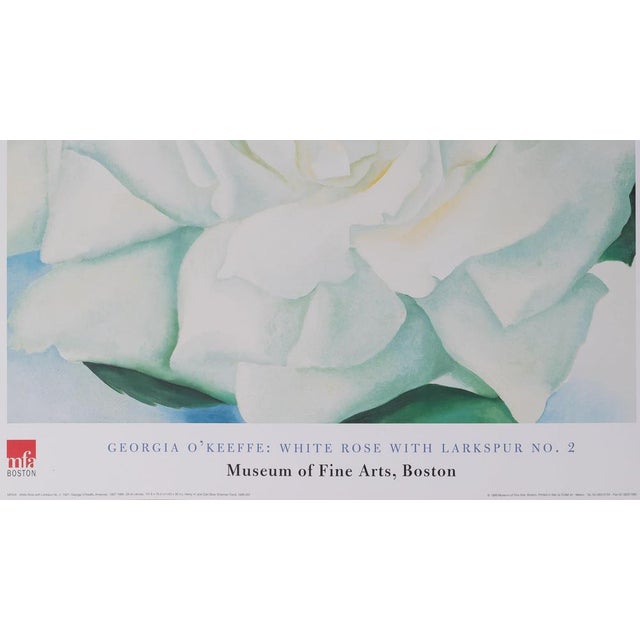 White Rose with Larkspur Poster after Georgia O'Keeffe For Sale - Image 4 of 6