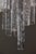 Glass and Brass Chandelier with Icicle Pendants from Itre, 1970s For Sale - Image 4 of 18