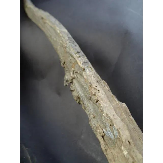 Late 20th Century Folk Art Cane, Scepter or Staff of Office With Horse Head and Hoof For Sale In Los Angeles - Image 6 of 8