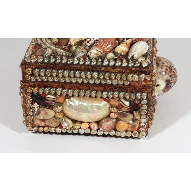 Victorian Shell Encrusted Box With Mirror and Pincushion Interior, 19th Century For Sale - Image 9 of 13