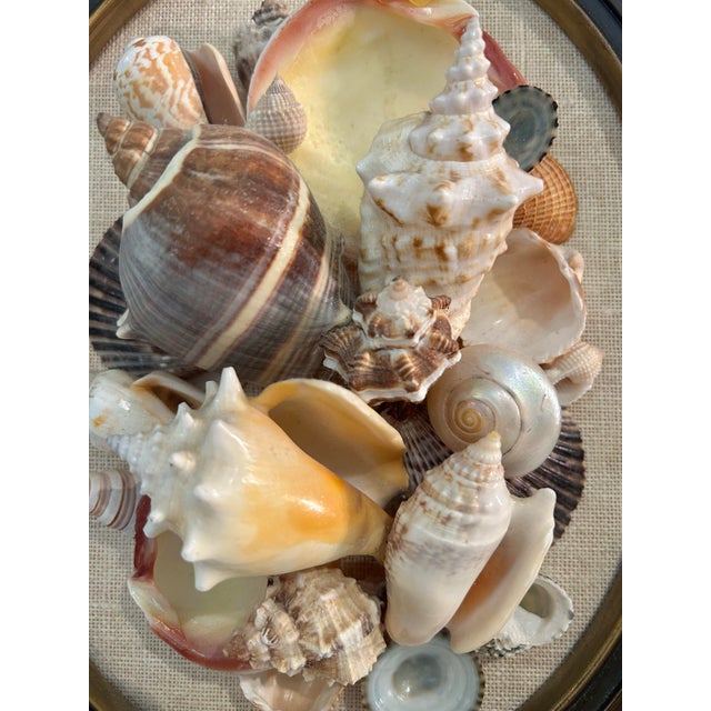 Vintage 1960’s Coastal Sailors Valentine Shell Wall Art – Real Seashell Collage on Linen in Oval Wood Frame For Sale - Image 4 of 8