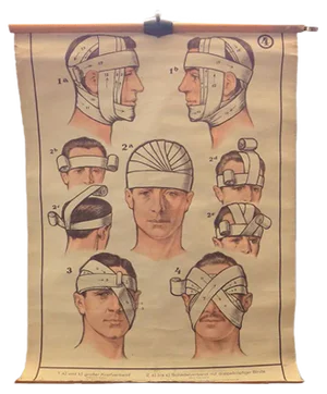 School Board Head Associations Medical Teaching Poster, 1930s