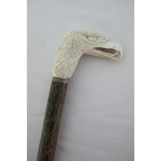 Ivory Eagle Head Finely Carved Deer Antler Antique Walking Stick Cane For Sale - Image 8 of 8
