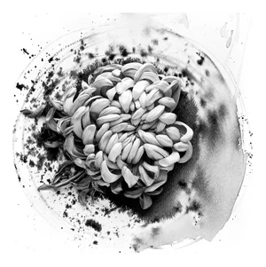 Chrysantemum on Ink -Floral Film Photography in Composition with Ink Abstraction 2023