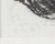 1965 “Who Me?” Etching by James L. Bruch For Sale In Indianapolis - Image 6 of 7