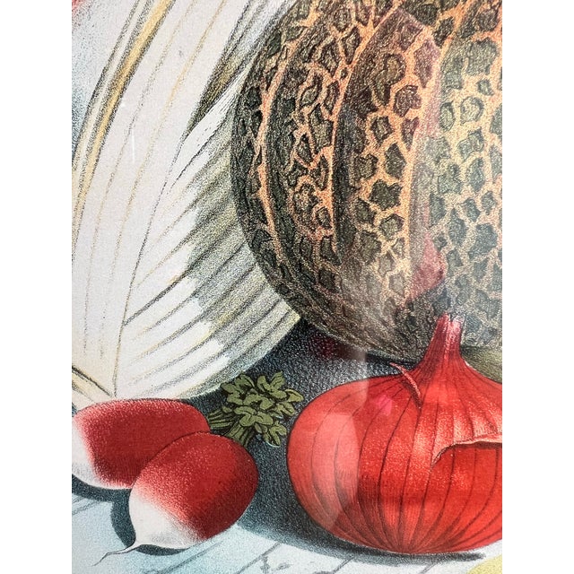 Late 20th Century Large Framed Advertisement Poster From ShakerSeed Company For Sale In West Palm - Image 6 of 8