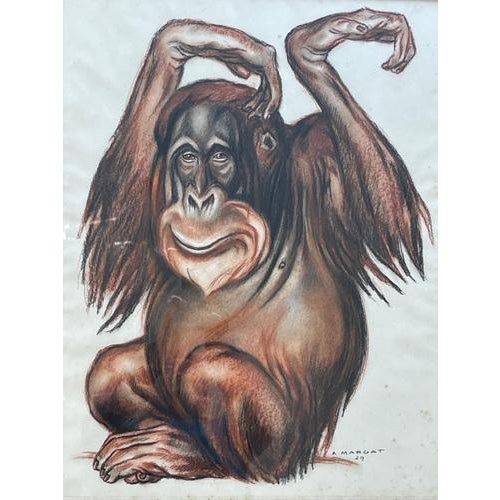 This pastel drawing represents an orangutan, the artist was able to accurately reproduce the animal by drawing but...