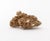 Shiva Lingam, Etc. Mineral Specimens, 3 For Sale - Image 10 of 14