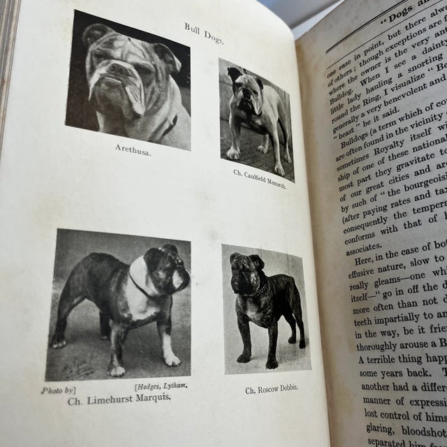 1924 Dogs & I Book For Sale - Image 4 of 10