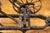 Metal Francis Mecum 1891 Walking Plow Salesman Sample With Museum Display For Sale - Image 7 of 18