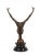 MILO (20th century School) "Dancer" Sculpture Bronze with medal patina, signed, marble base H. 29 cm good condition This...