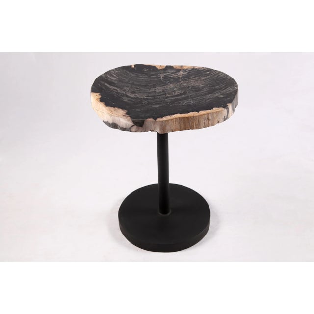 The top of this modern accent side table is made of one slice of organic petrified wood, hand polished to show its...