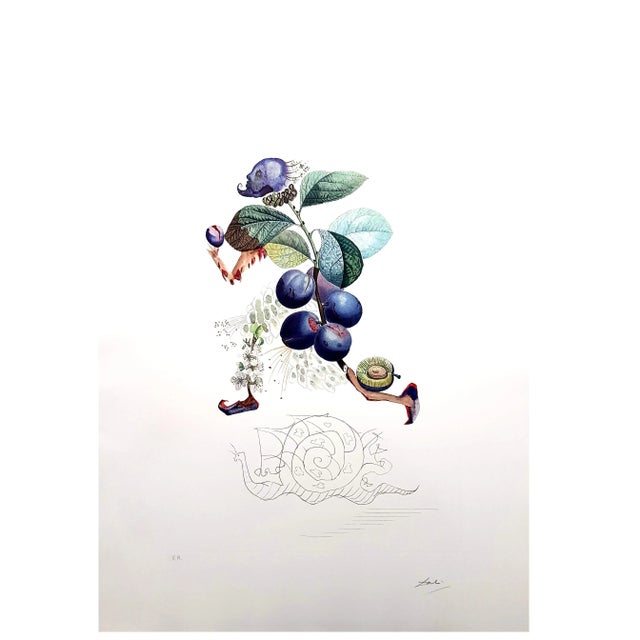 Salvador Dali - Plum - Original Hand-Signed Lithograph 1969 Dimensions: P. 57 x 37 cm Sheet: 75 x 56 cm Hand Signed, EA...