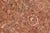 1990s Shabby Chic 1990's Floral Pak-Persian Brown/Green Wool Rug - 8'1'' X 10'10'' For Sale - Image 5 of 9