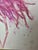 Paint Twin Palm Beach Flamingos - Designed by Cheryl P. Kohloff For Sale - Image 7 of 8