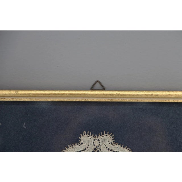 Deer, Lace, Flemish, Early 18th Century, Glass Framed For Sale - Image 6 of 13